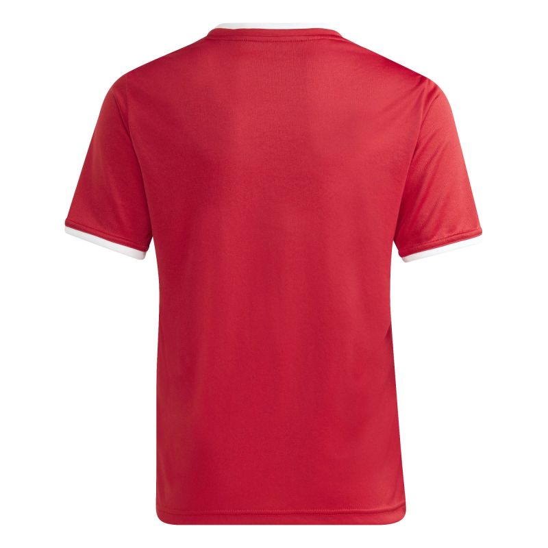 adidas Junior Entrada 26 T-shirt JZ2523 póló
