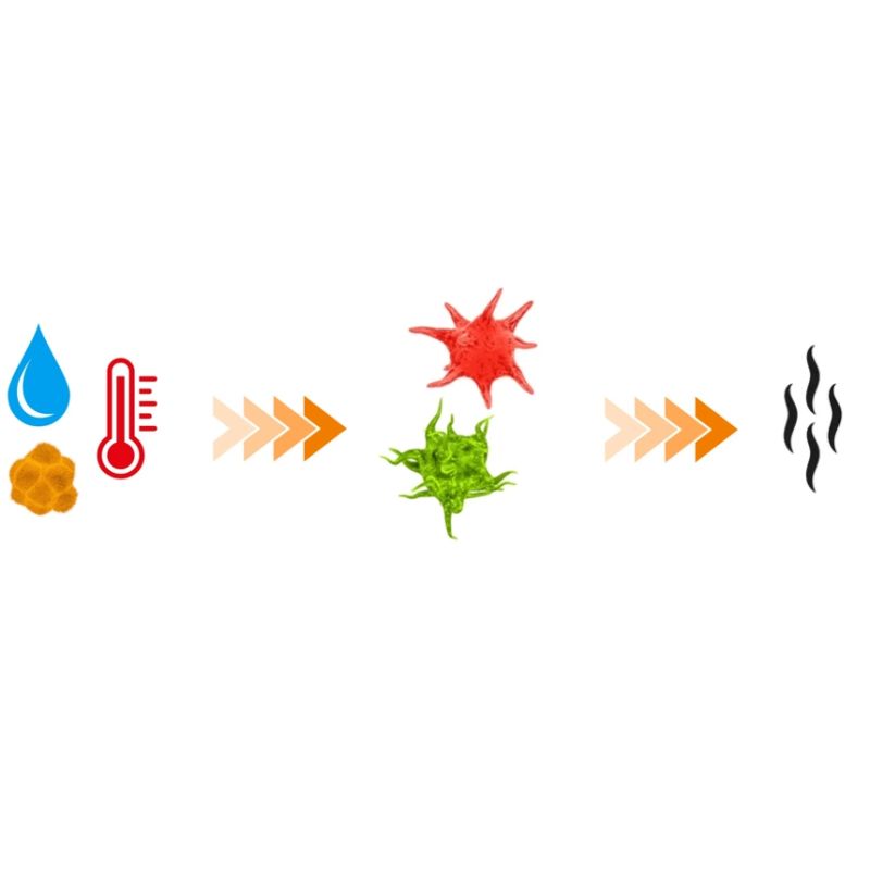 Air freshener and dehumidifier for sports equipment | DBX Dryer