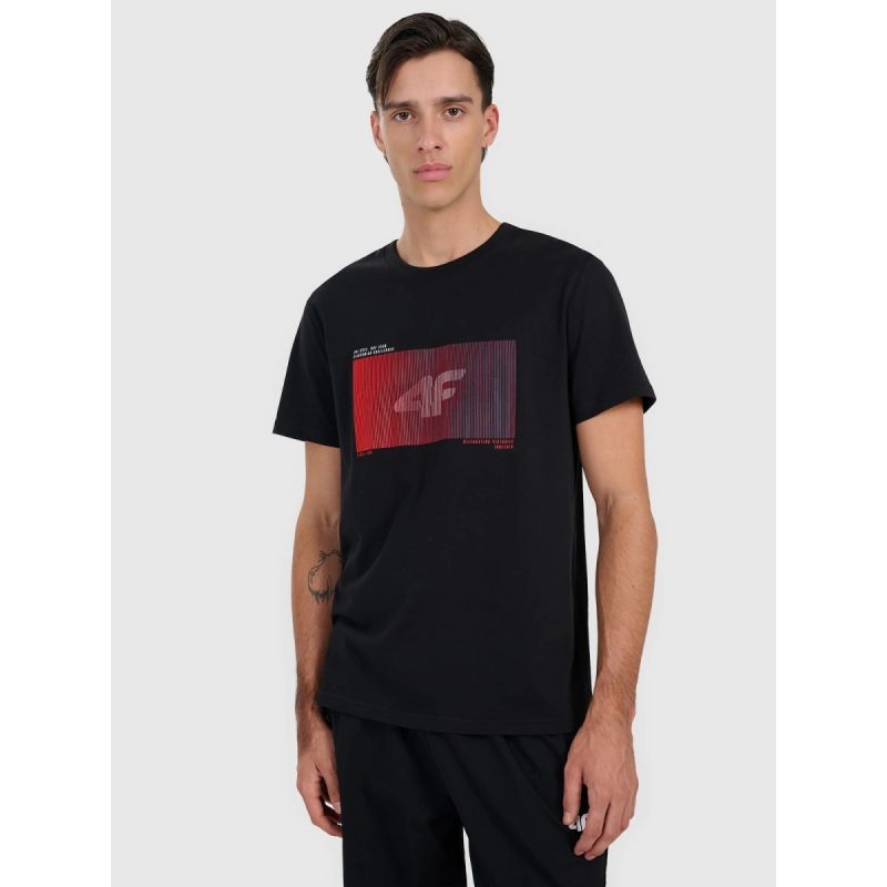 Men's regular printed T-shirt 4F 4FRAW25TTSHM3224-20S póló