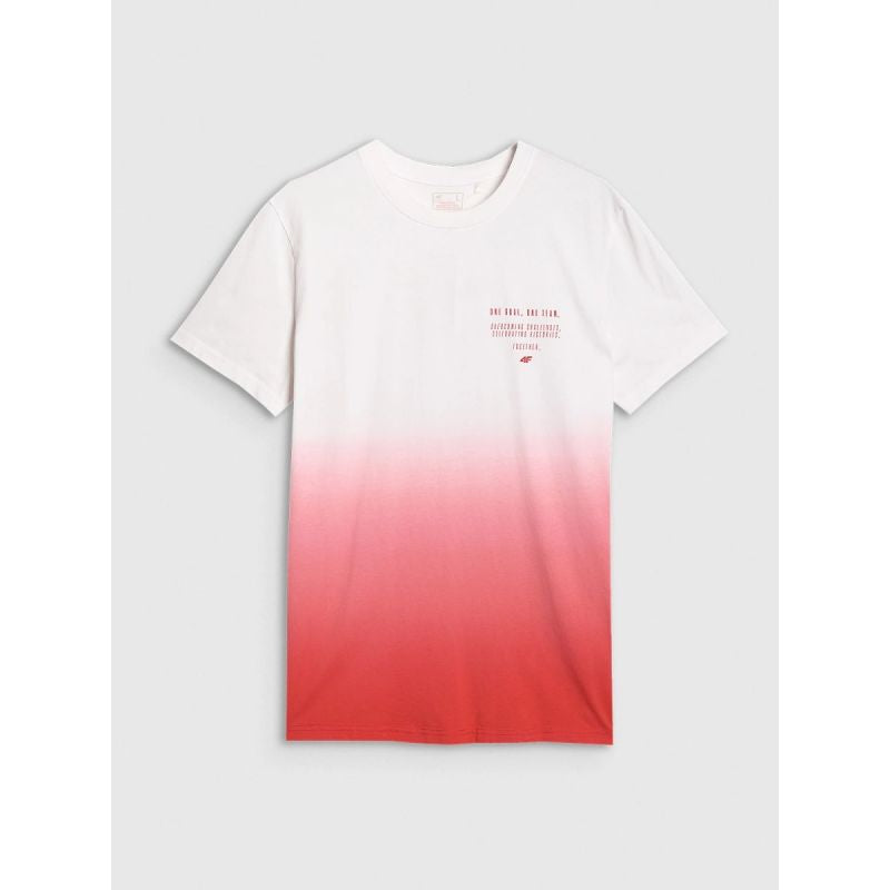 Men's regular printed T-shirt 4F 4FRAW25TTSHM3226-62S póló
